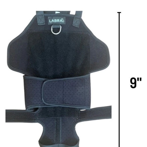 #78 Labra Canine Back Brace - NWT - Picture 4 of 6
